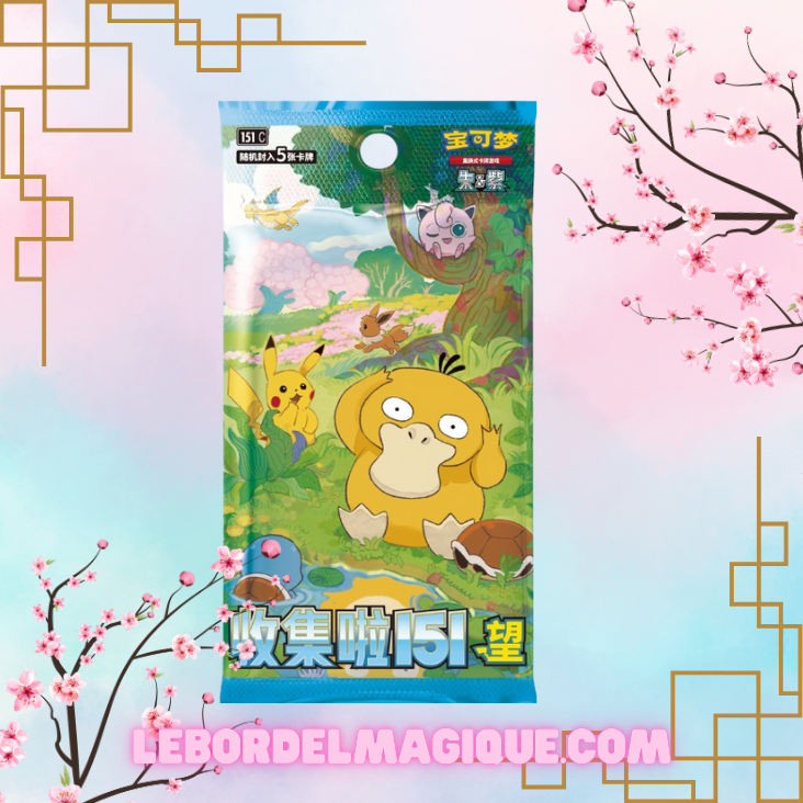 Display 151 Set 2 Chinois