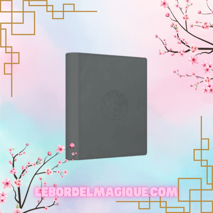 Binder Portfolio Pocket Gift Box Eevee