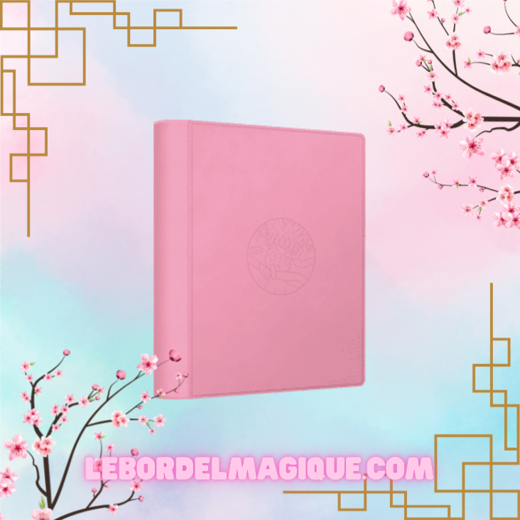 Binder Portfolio Pocket Gift Box Eevee