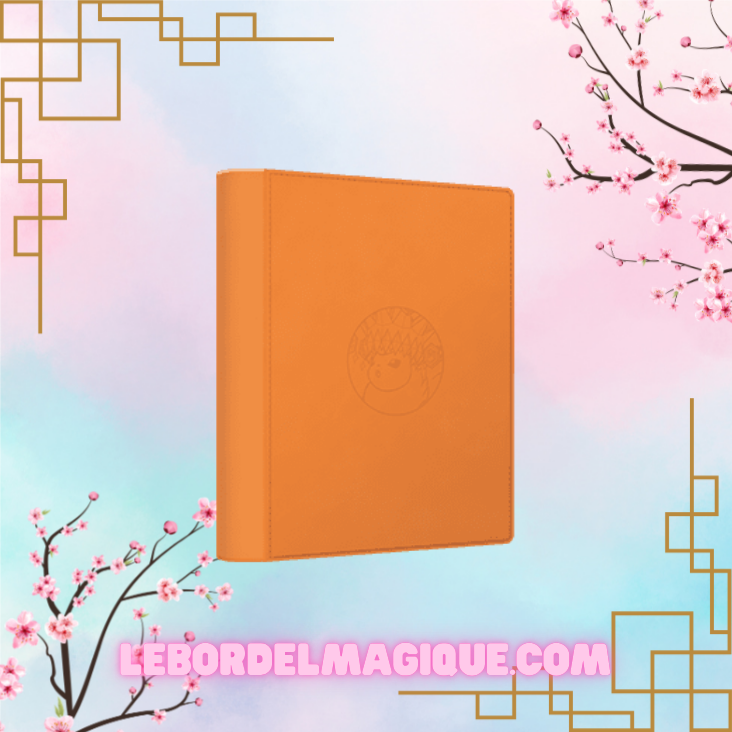 Binder Portfolio Pocket Gift Box Eevee