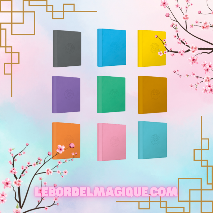 Binder Portfolio Pocket Gift Box Eevee