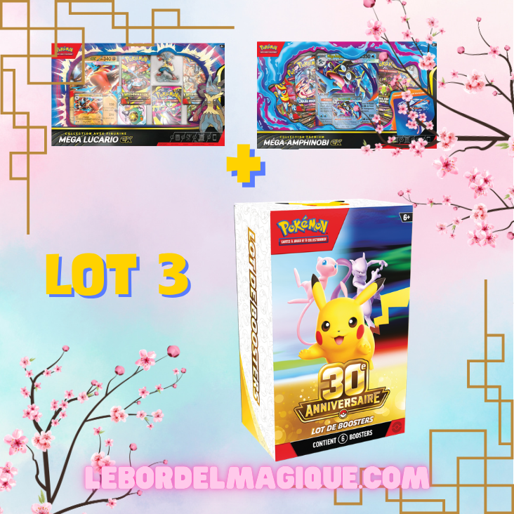 Pokémon lot Bundle 30th FR