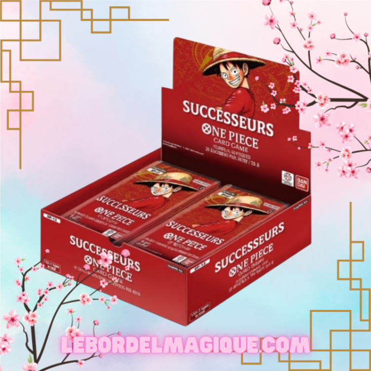 Display One Piece OP13 Successeurs