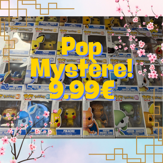 Pop Mystère POKEMON !