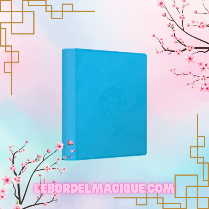 Binder Portfolio Pocket Gift Box Eevee