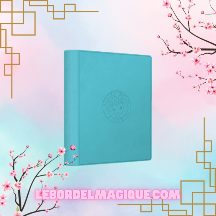 Binder Portfolio Pocket Gift Box Eevee