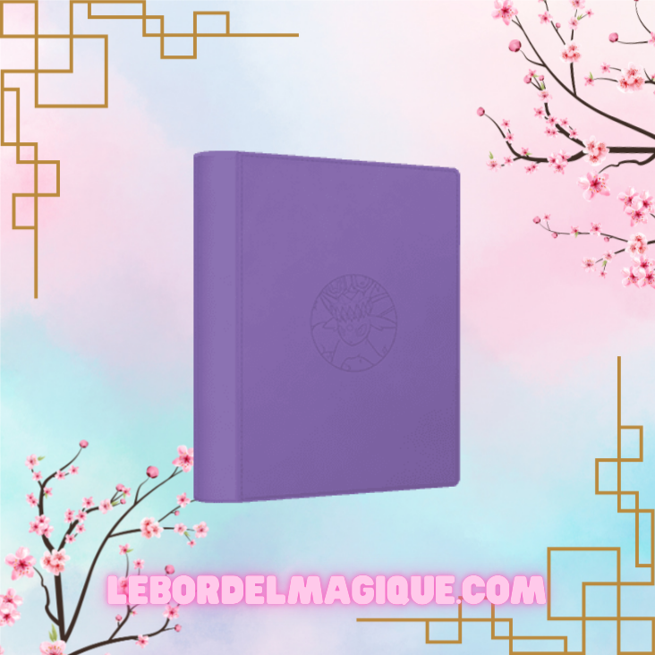Binder Portfolio Pocket Gift Box Eevee
