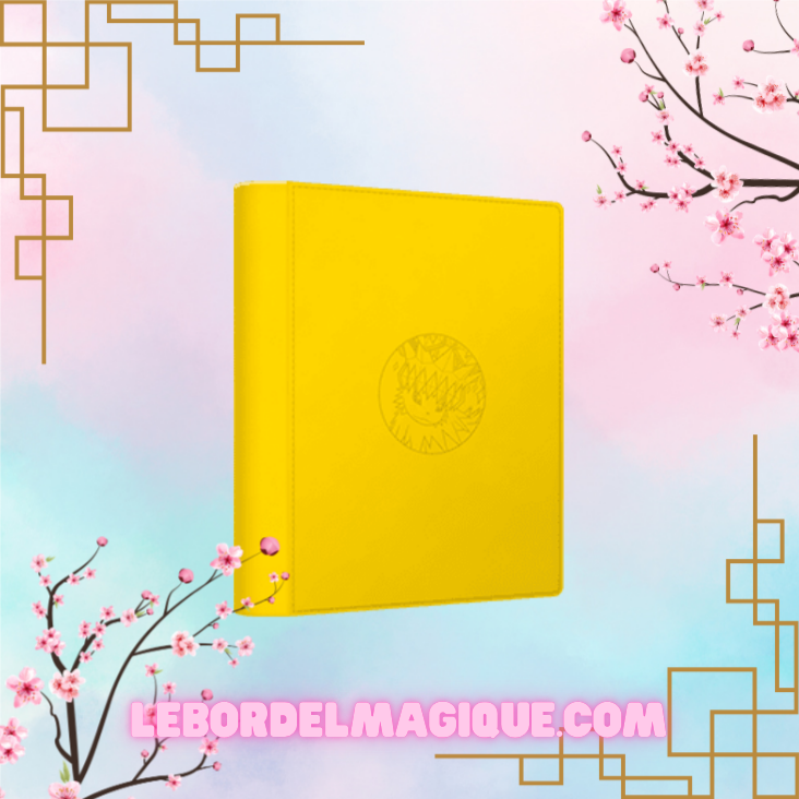 Binder Portfolio Pocket Gift Box Eevee